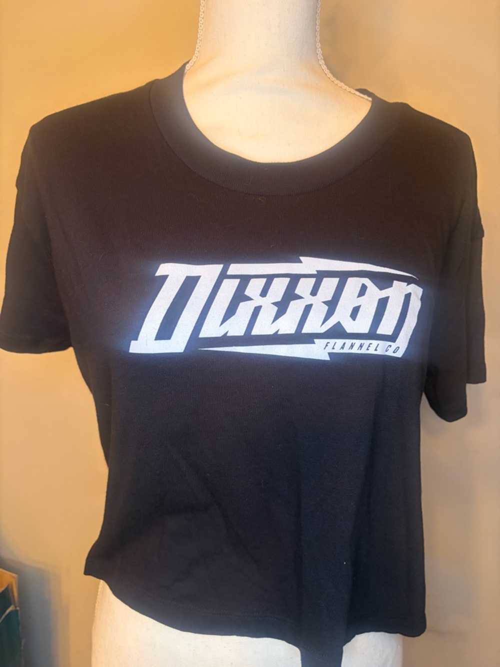 Dixxon Crop Top Tee Medium 🖤🤍 Never Worn